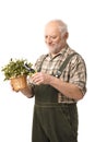 Cheerful elderly man holding plant smiling