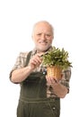 Cheerful elderly man holding plant smiling