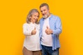 Cheerful elderly pensioner couple giving thumbs up in approval, studio