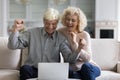 Cheerful excited senior married couple looking at laptop display