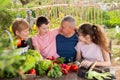 Cheerful family breezily chatting at table in garden Royalty Free Stock Photo