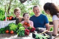 Cheerful family breezily chatting at table in garden Royalty Free Stock Photo