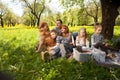 cheerful family having a picnic.