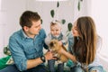 Cheerful family is playing with the little baby. The baby is petting the rabbit.