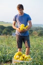 Cheerful farmer holding fresh melon crop on the field at organic eco farm.
