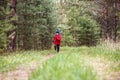 Cheerful boy in a red jacket running in the forest Royalty Free Stock Photo
