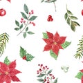 Cheerful floral seamless pattern for Christmas themed design. Watercolor red poinsettia flower, red winter berries, pine branches Royalty Free Stock Photo