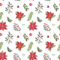 Christmas seamless pattern with hand painted watercolor winter plants, pine tree branches, red poinsettia flower, holly berries Royalty Free Stock Photo