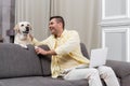 cheerful freelancer petting labrador while sitting