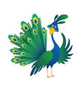 Cheerful friendly cartoon colored blue-green peacock bird