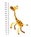 Cheerful funny giraffe with long neck. Height meter or meter wall or wall sticker from 0 to 150 centimeters to measure Royalty Free Stock Photo