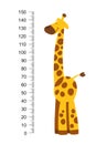 Cheerful funny giraffe with long neck. Height meter or meter wall or wall sticker from 0 to 150 centimeters to measure Royalty Free Stock Photo