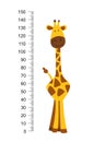 Cheerful funny giraffe with long neck. Height meter or meter wall or wall sticker from 0 to 150 centimeters to measure Royalty Free Stock Photo