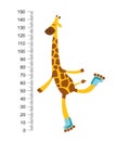 Cheerful funny giraffe on riller with long neck. Height meter or meter wall or wall sticker from 0 to 150 centimeters to