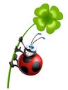 Cheerful and funny ladybug