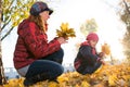 Cheerful and funny mother plays with yellow maple leaves Royalty Free Stock Photo