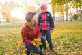 Cheerful and funny mother plays with yellow maple leaves Royalty Free Stock Photo