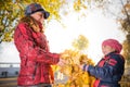 Cheerful and funny mother plays with yellow maple leaves Royalty Free Stock Photo