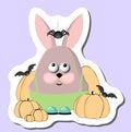 Cheerful funny rabbit with pumpkins. Bunny celebrates Halloween. autumn sticker