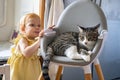 Cheerful funny redhead little girl in elegant yellow dress posing with cat relaxing on armchair Royalty Free Stock Photo