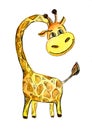 Cheerful giraffe