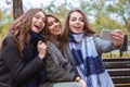 Cheerful girlfriends making selfie photo on smartphone Royalty Free Stock Photo