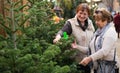 Cheerful glad elderly women selecting spruce
