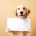 A cheerful golden retriever joyfully holding a blank sign in its gentle paws