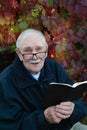 cheerful gray-haired old man with glasses is reading the Bible. Portrait of a smiling old man of 88 years on the