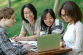 Cheerful group of young students sitting and studying Royalty Free Stock Photo