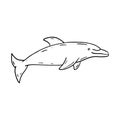 Cheerful hand drawn dolphin black monochrome illustration