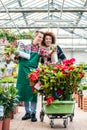 Cheerful handsome worker talking with a beautiful customer Royalty Free Stock Photo