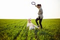 Cheerful and happy dog labrador retriever plays with his young woman owner on a green field on the sunset at spring. The dog Royalty Free Stock Photo