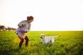 Cheerful and happy dog labrador retriever plays with his young woman owner on a green field on the sunset at spring. The dog Royalty Free Stock Photo