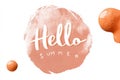 A cheerful Hello Summer sign adorned with vibrant oranges, Hello Summer background. Royalty Free Stock Photo