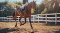 A cheerful horse gallops in the paddock. Development of equestrian sports, participation in competitions, hobbies to improve the