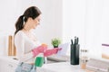 Cheerful housewife spraying detergent from spray