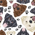 Cheerful Illustration Labrador