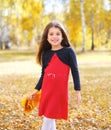 Cheerful little girl child with yellow maple leafs in autumn Royalty Free Stock Photo