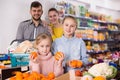 Cheerful little girl choosing fresh mandarins Royalty Free Stock Photo