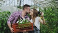 Cheerful loving couple gardeners taking selfie picture on smartphone camera and kissing while working in greenhouse