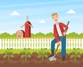 Cheerful Male Farmer Planting Seedlings Plants Vegetables Using Shovel, Summer Rural Landscape, Agriculture and Farming