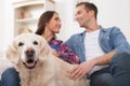 Cheerful man and woman are caring of pet Royalty Free Stock Photo