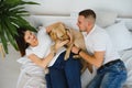 Cheerful married couple is playing with dog at home. They are sitting on sofa and stroking the animal. The man and woman are Royalty Free Stock Photo