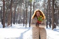 Cheerful mature woman holding bouquet of narcissus in winter forest Royalty Free Stock Photo