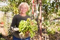 Mature woman taking armful of lettuce Royalty Free Stock Photo