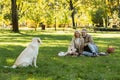 cheerful middle aged couple looking at Royalty Free Stock Photo