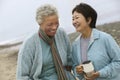 Cheerful Middle Aged Female Friends On Beach Royalty Free Stock Photo