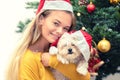 Cheerful millennial girl with santa hat embracing her gift little bichon frise dog under Christmas tree Royalty Free Stock Photo