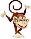 Cheerful monkey